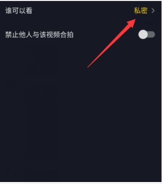 抖音发作品别人看不见怎么回事？是什么原因被屏蔽？