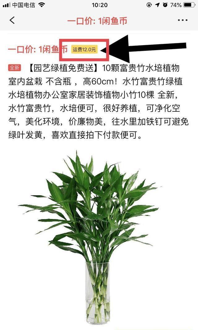 小白怎么利用闲鱼'免费送'赚到自己的第一桶金?干货来啦