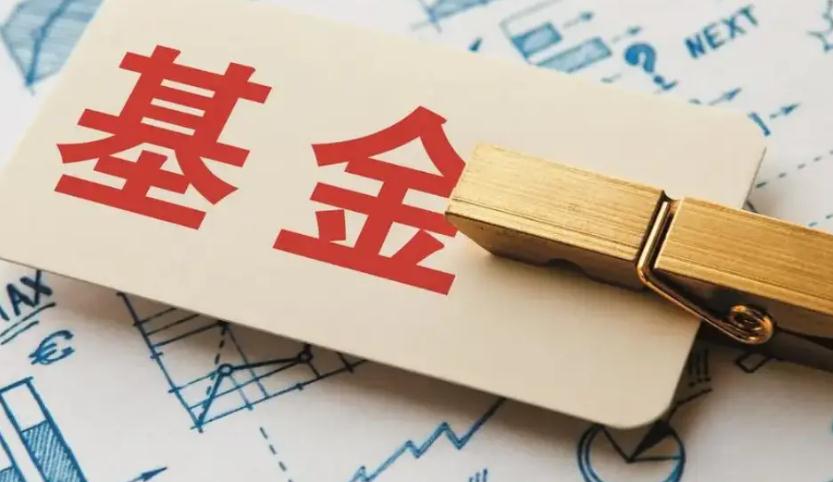 黑天鹅事件哪些基金受影响 看看哪些基金遭受损失