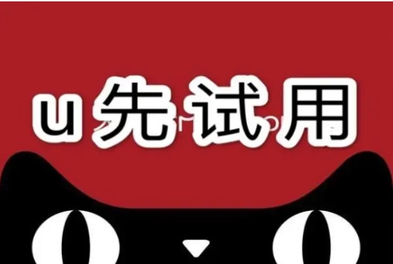 天猫u先是什么意思？用了之后再付钱吗？