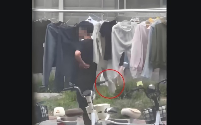 河南师大回应男生偷女生内裤，正在调查中