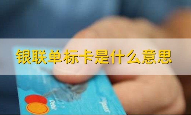 银联单标卡是什么意思，一文解析银联单标卡
