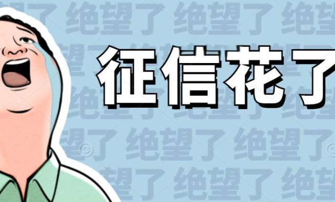 征信花了什么意思，秒懂征信花了意思