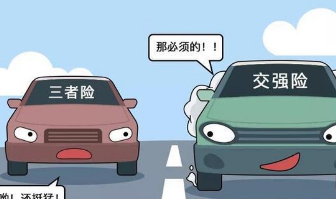 车损险