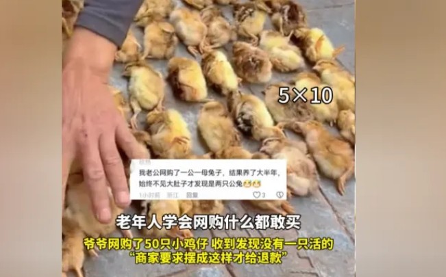商家奇葩要求——要求把亡鸡需排列为证