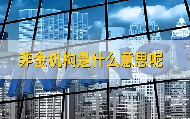 非金机构是什么意思