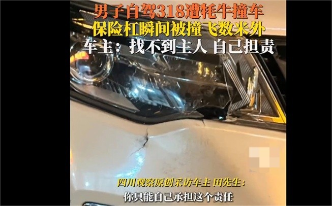 男子自驾318遭牦牛撞飞保险杠，呼吁自驾游者注意安全