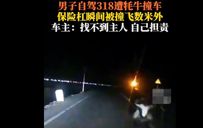 找不到主人只能自己担责