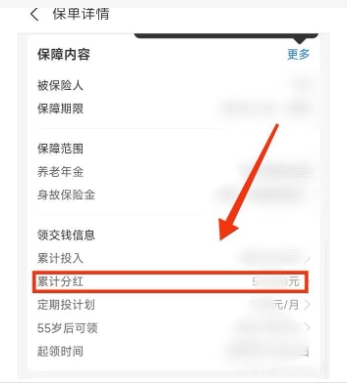 支付宝养老金分红怎样操作?有哪些收益细节需要注意?