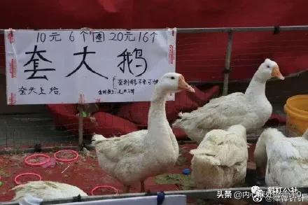 城市地摊赚钱项目技术
