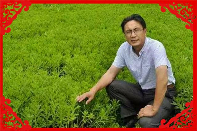 具备农村资源的创业者,今年可以在这几方面谋求发展,推荐一下