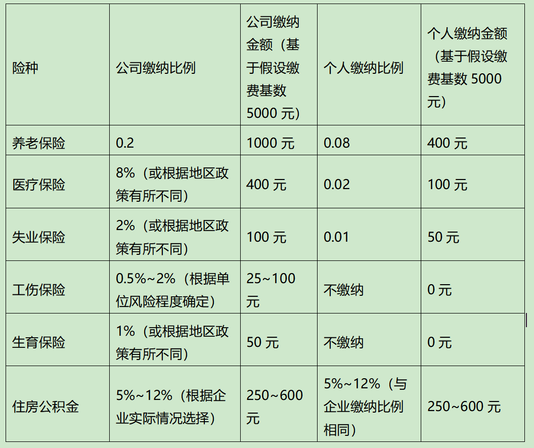 2024年公司和个人具体缴纳社保明细