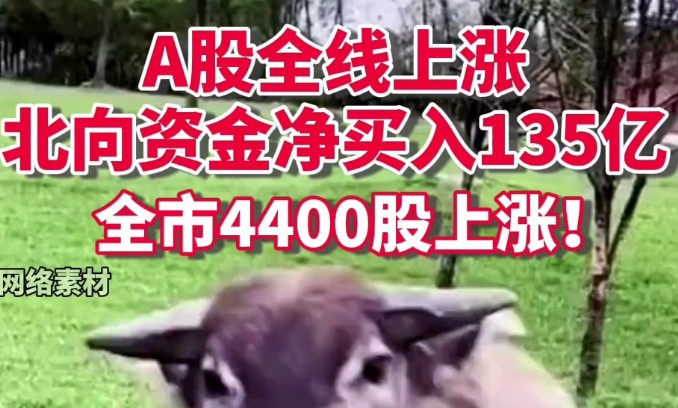 a股