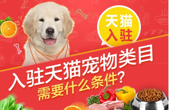购买宠物类天猫店需要注意什么？有哪些风险？