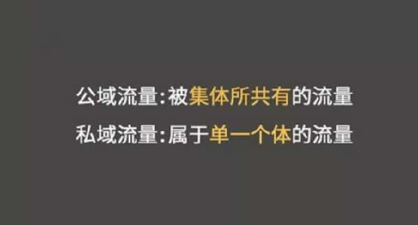 全网引流精准粉丝，打造百万私域流量池 私域流量 经验心得 第2张