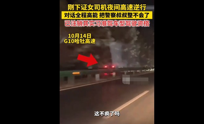 女司机深夜跟导航走 竟高速逆行!新手刚拿证，记12分