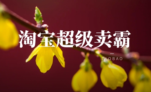 淘宝超级卖霸是什么意思？在哪里进入？