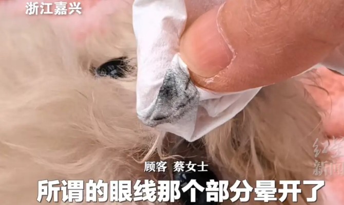 花近2万网购的泰迪被裁耳画眼线，太残忍了