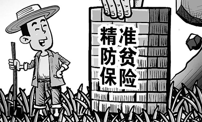 防贫保险