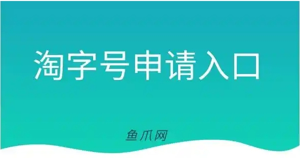 天猫代入驻哪家公司好？大概需要多少钱？