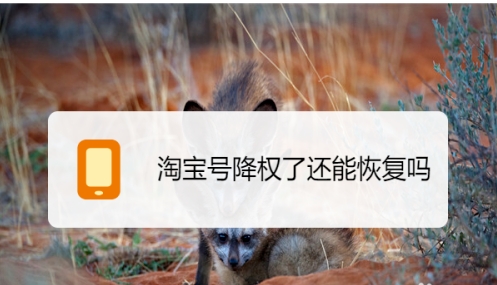 淘宝宝贝降权30天严重吗？怎么补救？