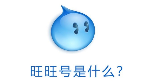 淘宝旺旺是什么？是账号还是昵称？