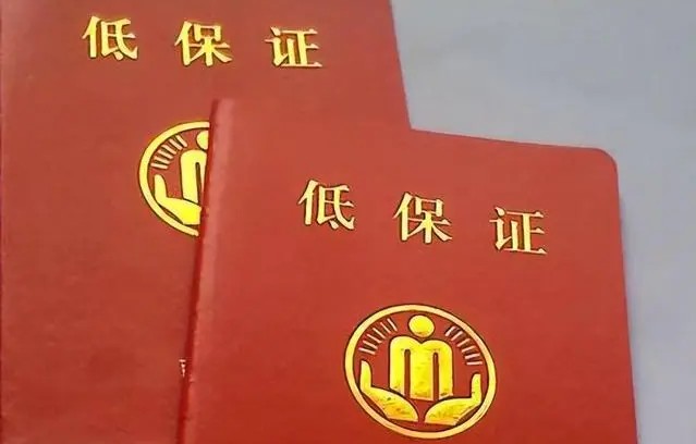 低保证