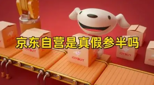 京东商城上有假货吗？商城自营店好还是旗舰店好？