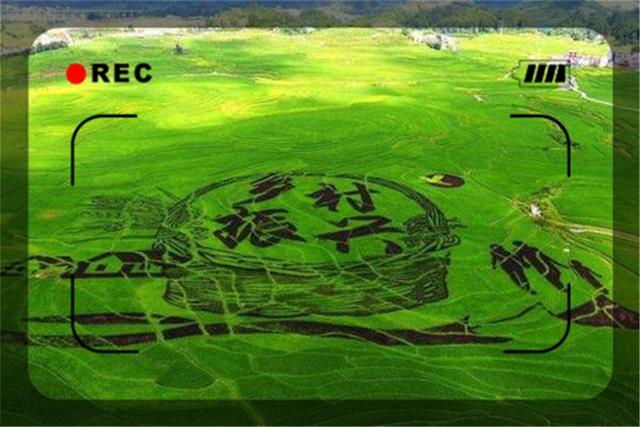 投资100万左右,目前在农村养殖什么最赚钱?推荐这几种