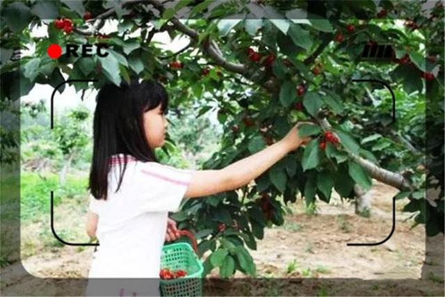 一个45岁的返乡农民,目前做什么生意能够月入过万?这几个都可以
