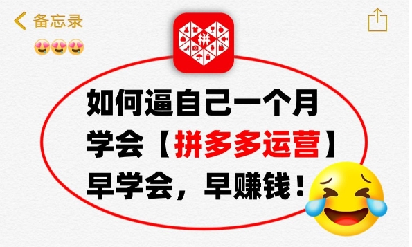 怎么开网店详细步骤有哪些？拼多多运营怎么做？