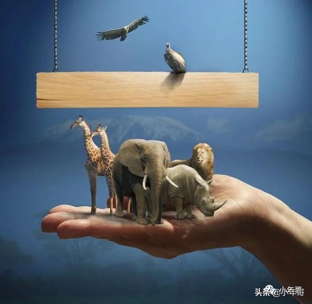 放眼未来,直播带货不过是棋盘一子
