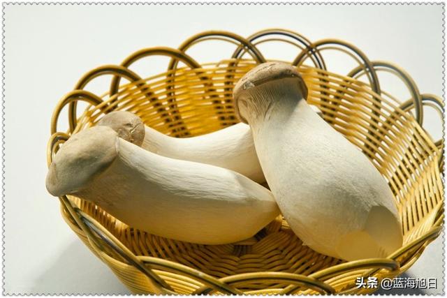 无一技之长返乡创业,十万元如何做到年入六万?这三个项目都能