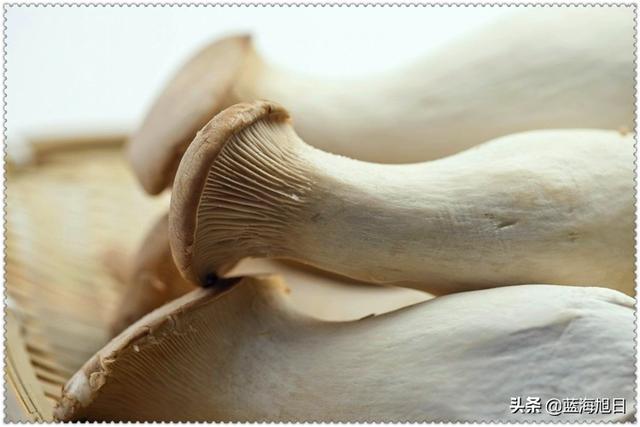无一技之长返乡创业,十万元如何做到年入六万?这三个项目都能