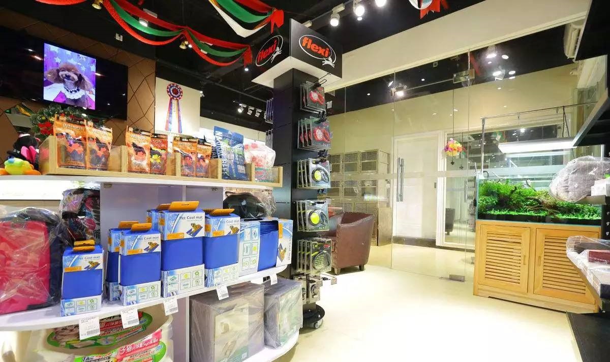 这家宠物店老板太会做生意，开业一个月暴赚百万，每天生意火爆