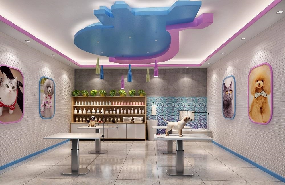 这家宠物店老板太会做生意,开业一个月暴赚百万,每天生意火爆