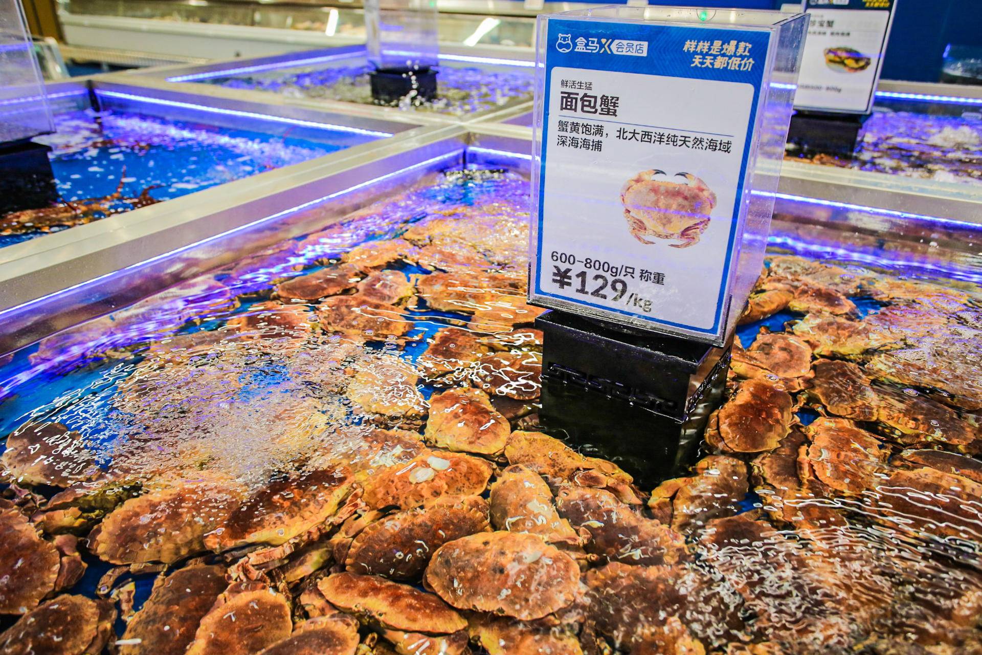 会员制超市新“三国杀”:盒马x会员店引领新零售2.0?