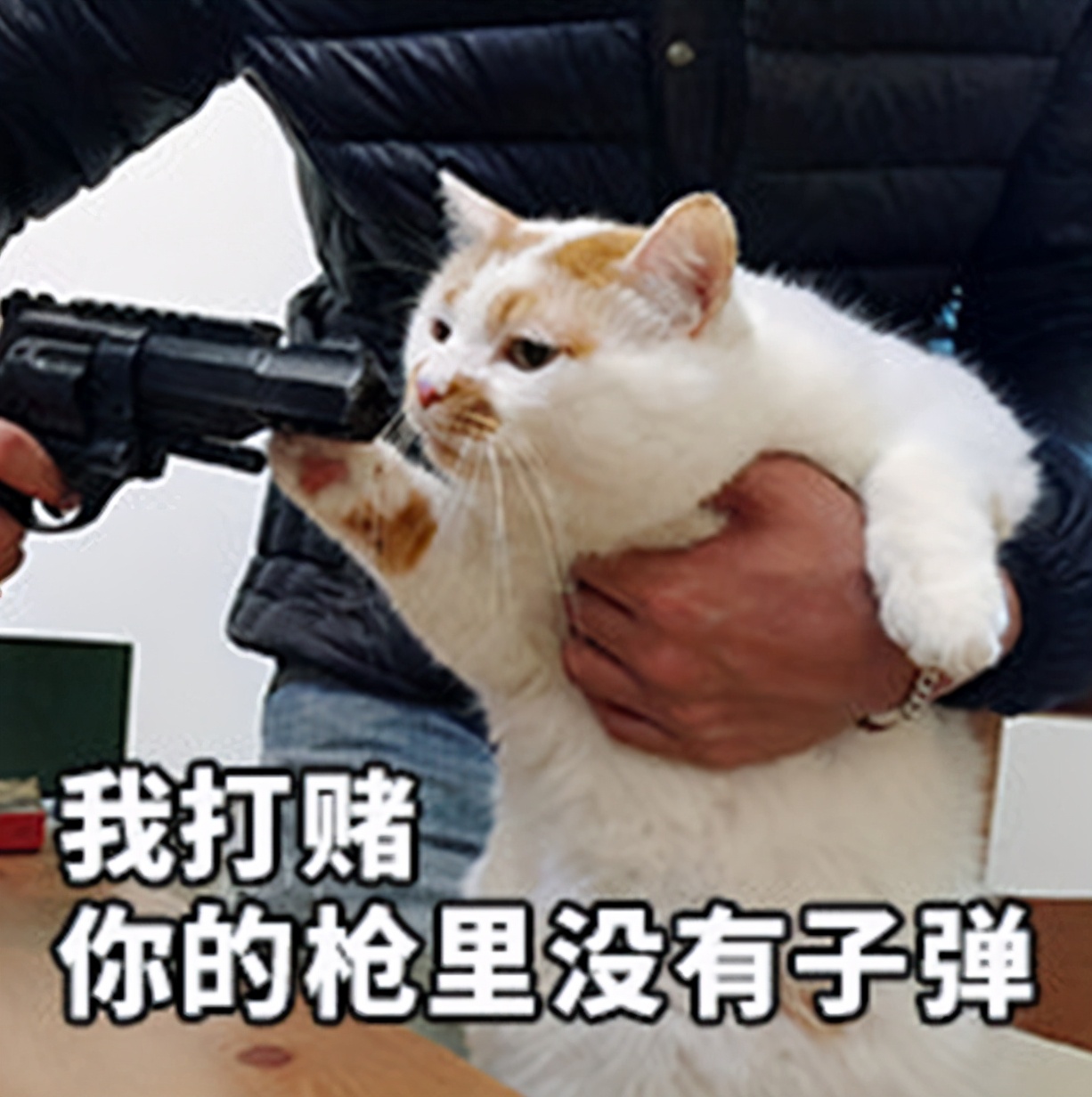 一个小快递一天烧掉2个亿,为什么中国企业这么喜欢打价格战?