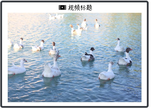 快递公司加盟哪个好（轻资产快递加盟品牌利弊分析）