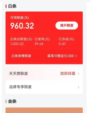 京东白条支付是什么意思?安全吗?