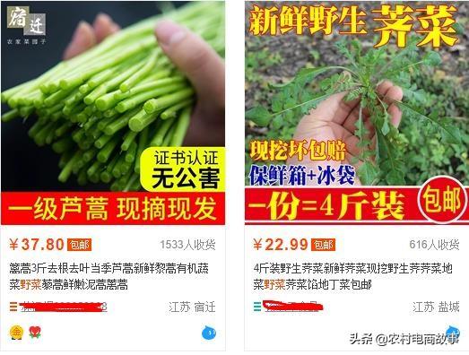 农村电商卖什么?网上卖野菜月入万元