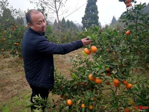 电商时代正迅速改变新农村人生活 回乡创业 你准备好了吗