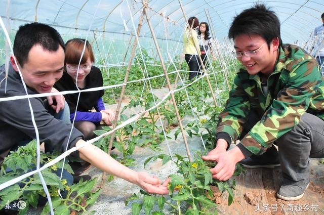 农村创业干什么好，藏在农村不起眼的暴利小生意