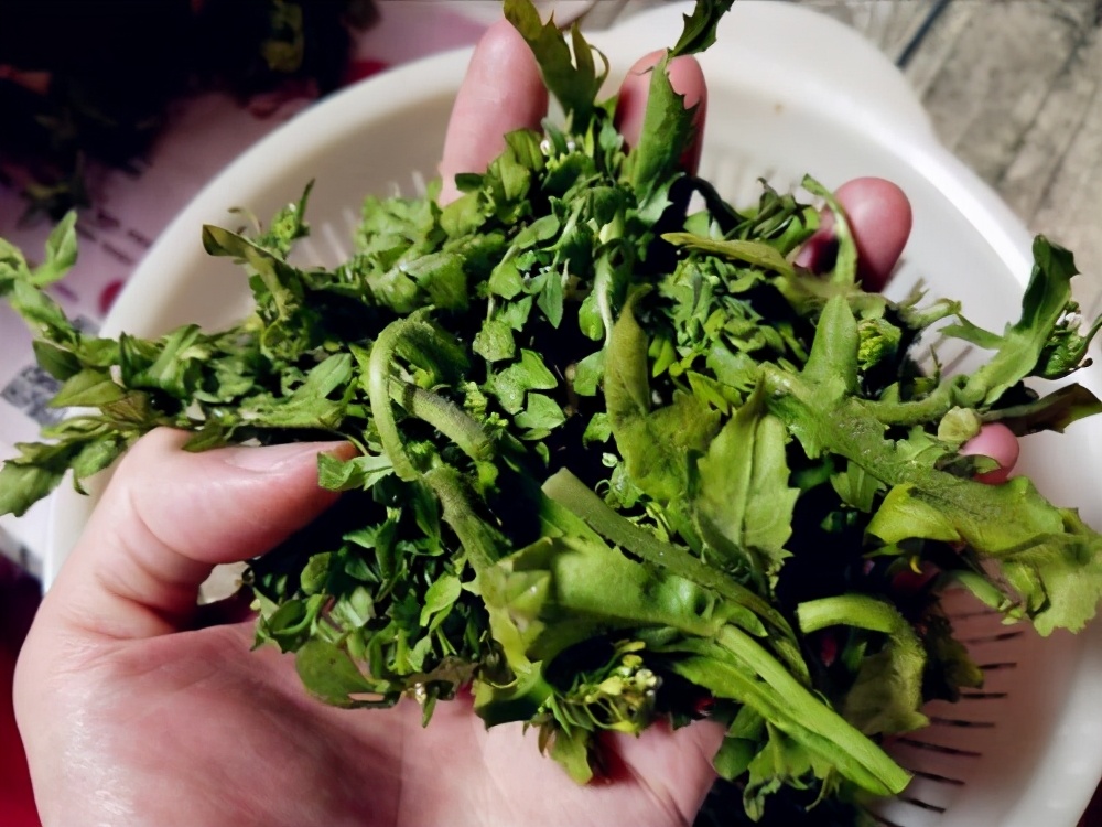 农村投资不高,利润颇丰的几种小生意,你了解几个?
