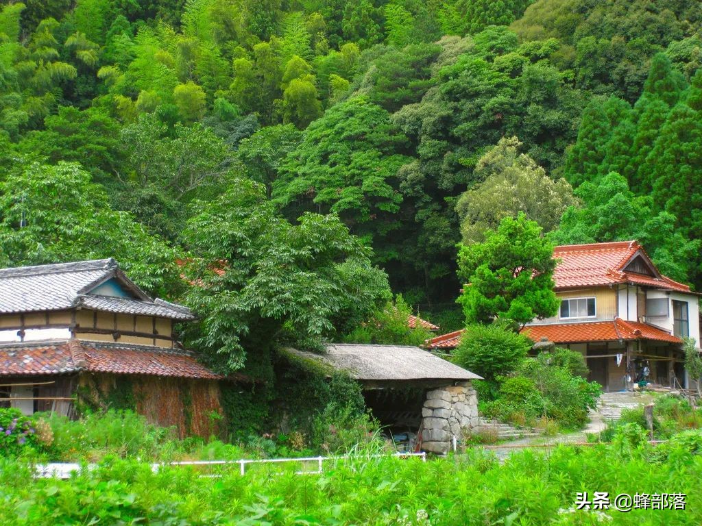 在农村,这3种生意发大财,5类人必将是土豪,看看你是否在其中?