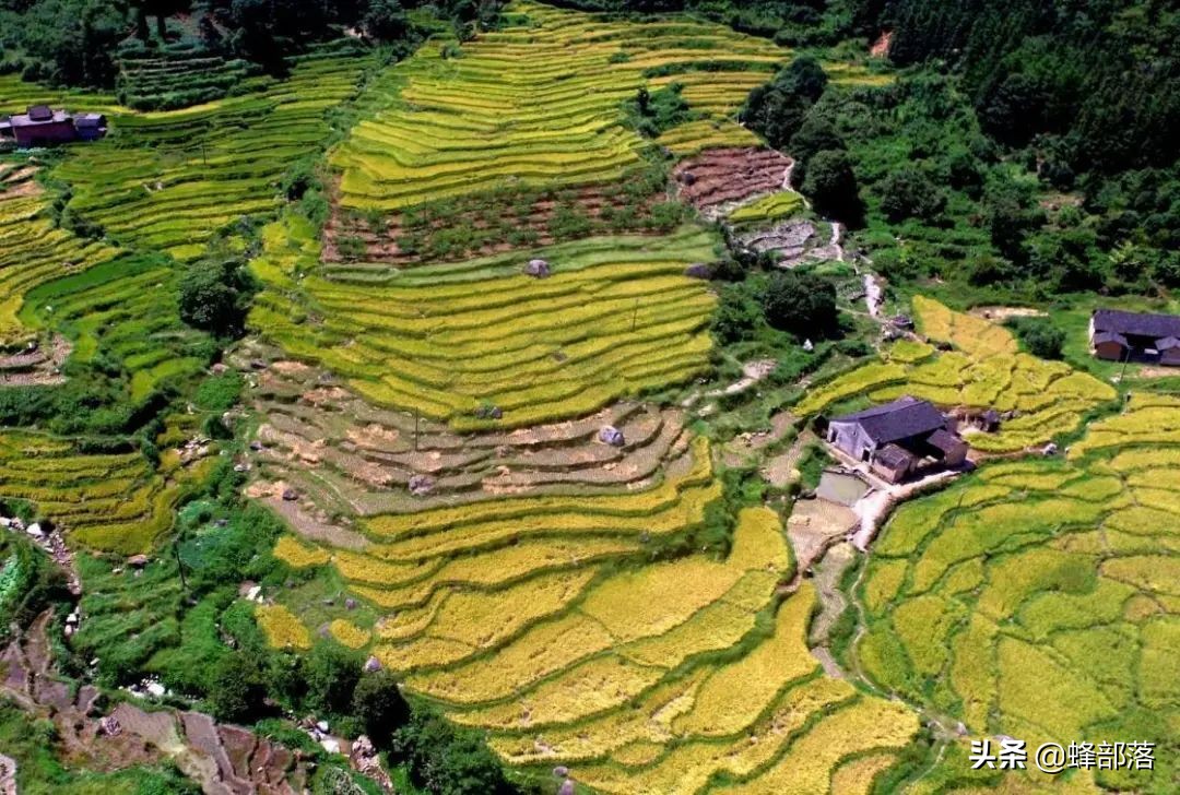 在农村,这3种生意发大财,5类人必将是土豪,看看你是否在其中?