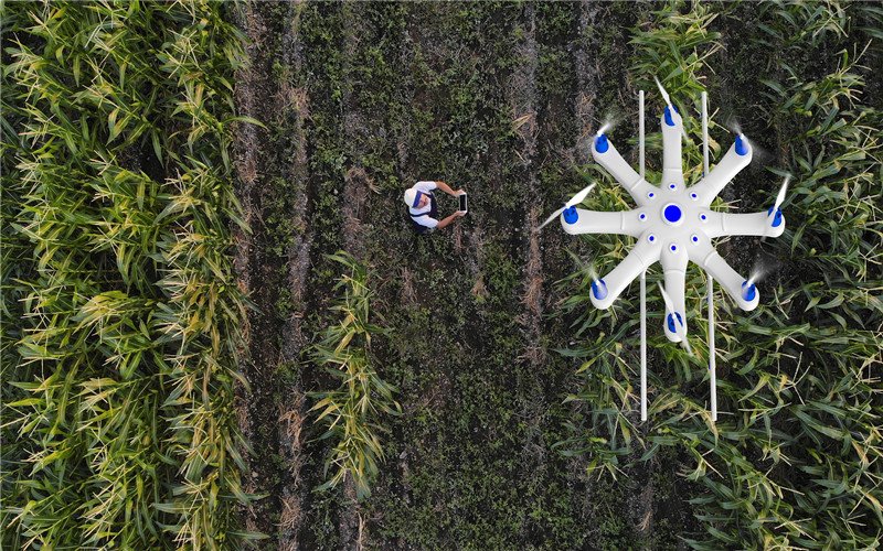 40多岁的人在农村，不想种地，可以做哪些月收入过万的小生意？