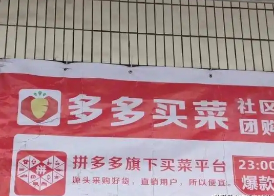 多多买菜有客服吗？在哪里才能找到？