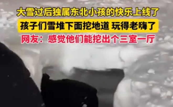 大雪后东北小孩挖出三室一厅，南方小伙伴们羡慕不已
