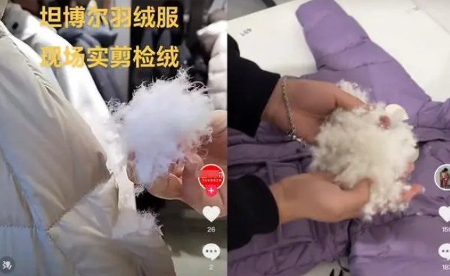 多个羽绒服商铺突然闭店，以丝代绒事件